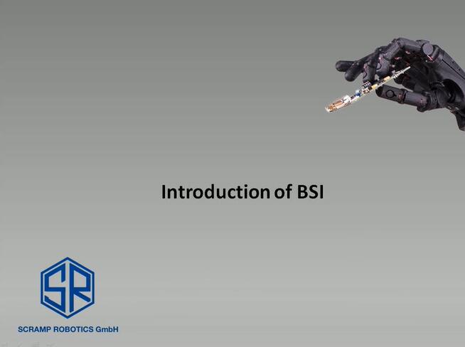 BSI_Basic
